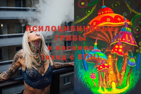 соль курить ск Алексеевка