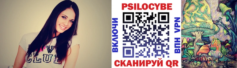 закладки  Серов  Псилоцибиновые грибы Psilocybe 